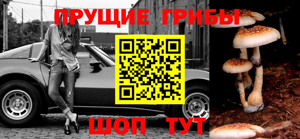 Скопин  Галлюциногенные грибы Psilocybine cubensis  Вход с VPN  Галлюциногенные грибы Cubensis 